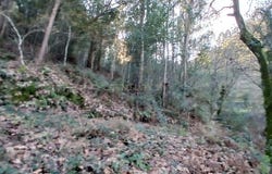 Quintiães e Aguiar, Braga