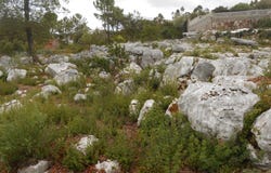 Mira de Aire, Leiria District
