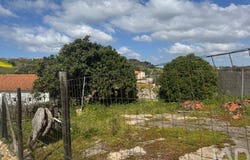Leiria, Leiria District
