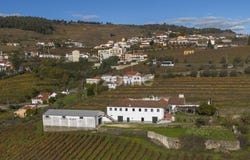 Peso da Régua, Vila Real District