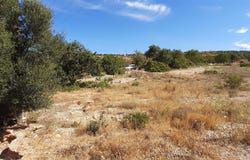 Boliqueime, Algarve 8100