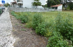 Condeixa-a-Nova, Coimbra District