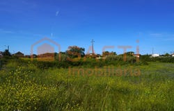 Benedita, Leiria District