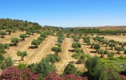 Portel, Évora District