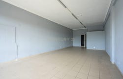 Febres, Coimbra District