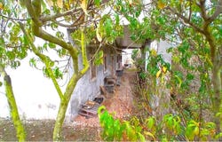 Cela, Leiria 2460
