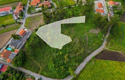 Palmeira de Faro e Curvos, Braga