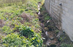 Pombal, Leiria District