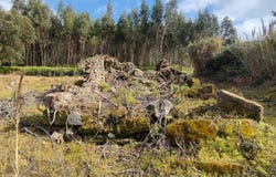 Carvalhal Benfeito, Leiria District