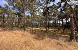 Almada, Setúbal
