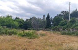 Fafe, Braga Municipality 4820