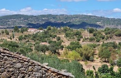 Vale de Prazeres e Mata da Rainha, Castelo Branco District