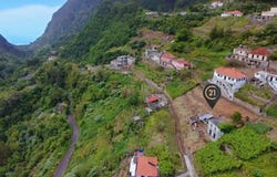 Ilha da Madeira, Madeira