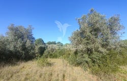 Monsanto, Alcanena, Santarém District