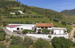 Peso da Régua, Vila Real District