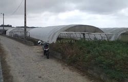 Aver-o-mar, Porto District