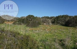 Vila do Bispo, Faro 8650-000