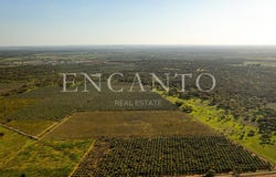 Cano, Portalegre 7470