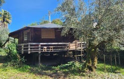 Santarém, Santarém District