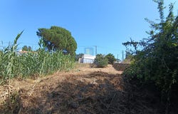 Tornada e Salir do Porto, Leiria District