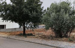 Pombal, Leiria District