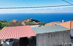 Ilha da Madeira, Madeira