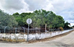 Setúbal, Setubal 2955