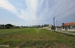 Torreira, Aveiro District