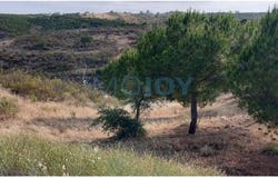 Castro Marim, Faro 8950-011