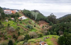 Santo António da Serra, Santa Cruz, Madeira 9100-255
