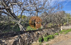 Faro, Algarve 8970