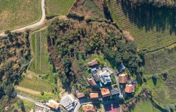 Canedo de Basto e Corgo, Braga