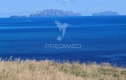 Caniçal, Machico, Madeira 9200