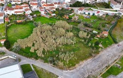 Condeixa-a-Nova, Coimbra District