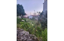 Mealhada, Aveiro District
