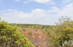 Santarém, Santarém District