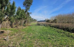 Bustos, Aveiro District