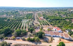 Silves, Silves