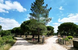 Benavente, Santarém 2130-517