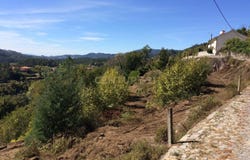 Bouro (Santa Maria), Braga