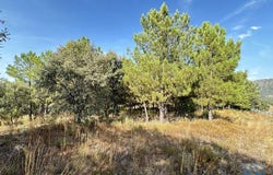 Guarda, Guarda District