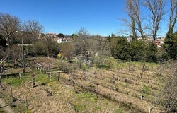 Chaves, Vila Real