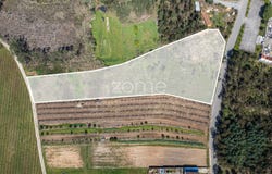 Anadia, Aveiro District