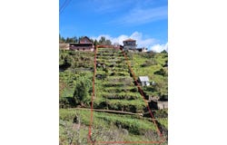 Camacha, Santa Cruz, Madeira