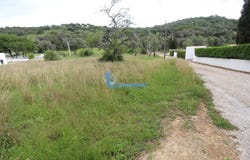 Portimão, Algarve 8500