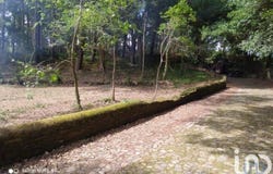 Viana do Castelo, Viana do Castelo District