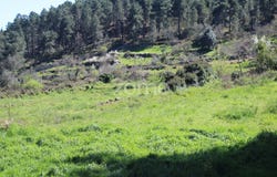 Moimenta da Beira, Viseu District