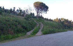 Braga, Braga