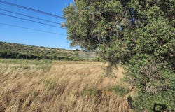 Lagos, Algarve