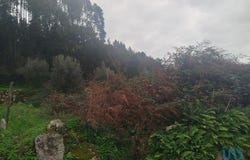 Penacova, Coimbra 3360-207